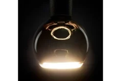 Segula Lichtbronnen^Lichtbron |