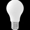 Sale Ztahl Lichtbron Sceneswitch A60