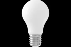 Sale Ztahl Lichtbron Sceneswitch A60