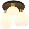 Trio Lighting Plafondlamp^Plafondlamp  Diva