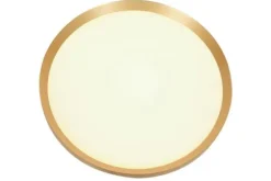 Steinhauer Plafondlamp^Plafondlamp  Flady