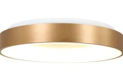 Steinhauer Plafondlamp^Plafondlamp 2562GO Ringlede