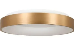 Steinhauer Plafondlamp^Plafondlamp 2562GO Ringlede