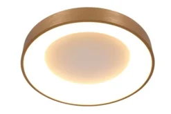 Steinhauer Plafondlamp^Plafondlamp 2562GO Ringlede