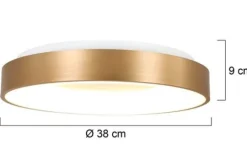 Steinhauer Plafondlamp^Plafondlamp 2562GO Ringlede