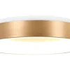 Steinhauer Plafondlamp^Plafondlamp 2563GO Ringlede