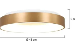 Steinhauer Plafondlamp^Plafondlamp 2563GO Ringlede