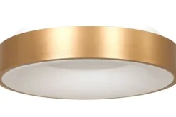 Steinhauer Plafondlamp^Plafondlamp 2563GO Ringlede