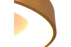 Steinhauer Plafondlamp^Plafondlamp 2563GO Ringlede