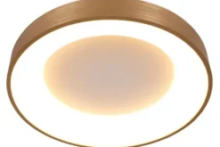 Steinhauer Plafondlamp^Plafondlamp 3086GO Ringlede