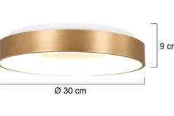 Steinhauer Plafondlamp^Plafondlamp 3086GO Ringlede