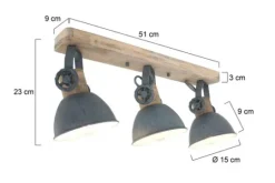 Steinhauer Spots|Plafondlamp^Plafondlamp 2133GR Gearwood Mexlite