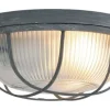 Steinhauer Plafondlamp^Plafondlamp 1342GR Lisanne Mexlite