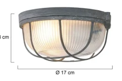 Steinhauer Plafondlamp^Plafondlamp 1342GR Lisanne Mexlite