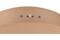 Trio Lighting Plafondlamp  Nala