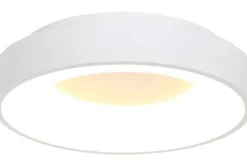 Steinhauer Plafondlamp 2562W Ringlede