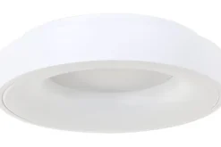 Steinhauer Plafondlamp 2562W Ringlede