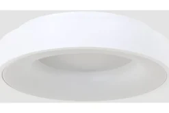 Steinhauer Plafondlamp 2562W Ringlede
