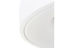 Steinhauer Plafondlamp 2562W Ringlede