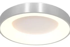 Steinhauer Plafondlamp^Plafondlamp 2563ZI Ringlede