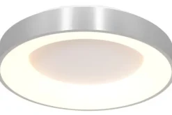 Online Steinhauer Plafondlamp 2562ZI Ringlede