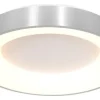Steinhauer Plafondlamp^Plafondlamp 3086ZI Ringlede
