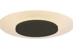 Steinhauer Plafondlamp^Plafondlamp 7797ZW  Ceiling & Wall