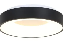 Steinhauer Plafondlamp^Plafondlamp 2562ZW Ringlede