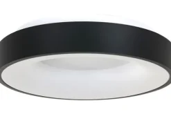 Steinhauer Plafondlamp^Plafondlamp 2562ZW Ringlede