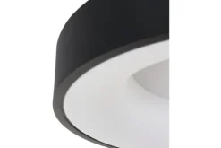 Steinhauer Plafondlamp^Plafondlamp 2562ZW Ringlede