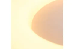 Steinhauer Plafondlamp^Plafondlamp 2562ZW Ringlede