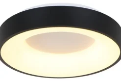 Steinhauer Plafondlamp^Plafondlamp 2562ZW Ringlede