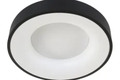 Steinhauer Plafondlamp^Plafondlamp 2562ZW Ringlede