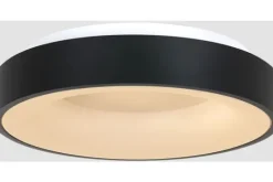 Steinhauer Plafondlamp^Plafondlamp 2562ZW Ringlede