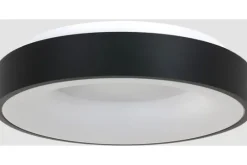 Steinhauer Plafondlamp^Plafondlamp 2562ZW Ringlede