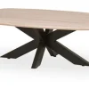 MySons Salontafels^Salontafel Ashblond Akagi