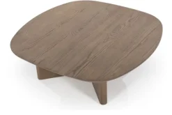 Eleonora Meubelen Salontafels^Salontafel bruin Stef
