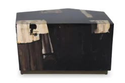 Online PTMD Salontafel Petrified Wood Medium 706818 Rayn