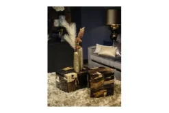 Online PTMD Salontafel Petrified Wood Medium 706818 Rayn