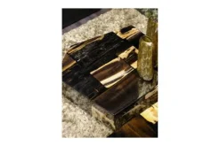 PTMD Salontafels^Salontafel Petrified Wood Large 706817 Rayn