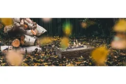 New Xaralyn Tafelhaard Bio Ethanol 4114LS Woody