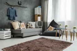 Divendo Vloerkleden^Vloerkleed 110 Bruin Crown