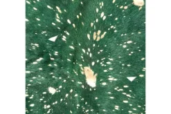 Divendo Vloerkleden^Vloerkleed 110 Groen Fly