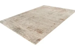 Best Viviendo Vloerkleed 421 Multi Everest