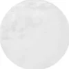 Divendo Vloerkleden^Vloerkleed 100 Wit Rabbit
