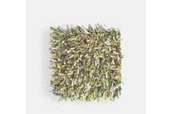 Clearance Brink & Campman Vloerkleed Evergreen 59107 Spring |