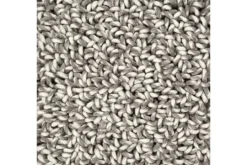 Online Brink & Campman Vloerkleed Loop Stone 66205 Origin |