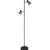 Anne Lighting Vloerlampen^Vloerlamp 1702ZW Fjorgard