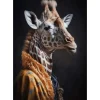 Urban Cotton Wandkleden^Wandkleed Giraffe