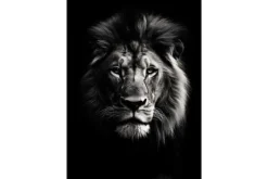 Clearance Urban Cotton Wandkleed Mighty Lion